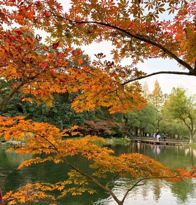 10 出炉：远胜游998分登顶避坑指南收