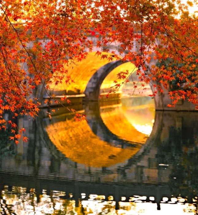 10 出炉:远胜游998分登顶避坑指南收好不朽情缘网站2025杭州靠谱旅行社TOP(图3) 10 出炉:远胜游998分登顶避坑指南收好不朽情缘网站2025杭州靠谱旅行社TOP(图3)