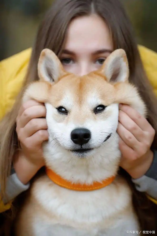 指南：抗寒有优势但这些细节不能漏！mg不